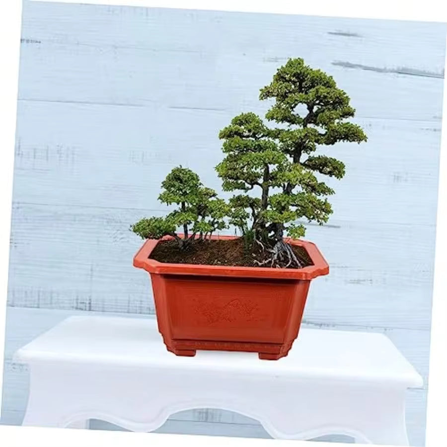10pcs Deep Flowerpot For Ficus Bonsai Japanese Bonsai Pot Indoor Plant Pot Plastic Garden Container