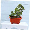 10pcs Deep Flowerpot For Ficus Bonsai Japanese Bonsai Pot Indoor Plant Pot Plastic Garden Container